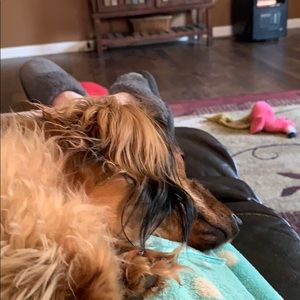 Meet your Posher, Crystal